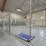 Indoor kennel area with chain-link fencing, separate enclosures, and dog toys including a blue bed with a tennis ball and a white toy—perfect for those seeking a pet boarding service in Stillwater OK. The room features a gray floor, overhead lights, and high ceiling. -Stay & Play Pet Resort
