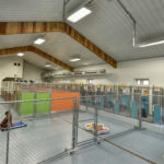 A spacious, clean indoor animal kennel with chain-link enclosures, colorful partition walls, and plastic kiddie pools filled with plastic balls. Experience our climate-controlled luxury boarding resort Pet boarding service in Stillwater OK. -Stay & Play Pet Resort